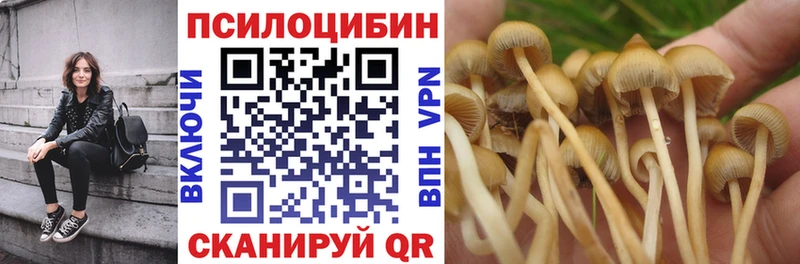 Галлюциногенные грибы ЛСД  Торопец 