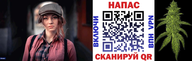Марихуана сатива  Торопец 